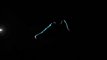 vanderlanthgmailcom  GIF