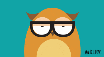 angry monday GIF by Alex the owl