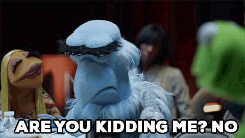 Are You Kidding Me Gif