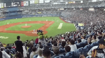 mascot orbit GIF by MLB