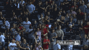 fan eating GIF by MLB