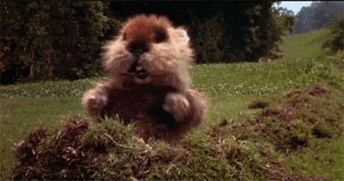 alphabet happy GIF