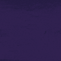 200.gif?cid=fc005b0808749c817f12fc4a6f1863ae211547c462fc106b&rid=200.gif&ct=g