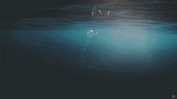 c2lldw5oyw41mte5m0bnbwfpbc5jb20 lich thi dau bong da hom nay GIF