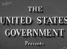 donald trump lol GIF by PEEKASSO