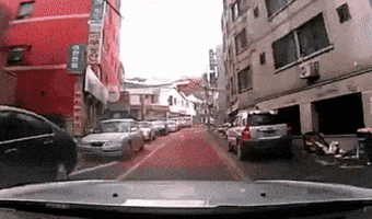 tonypuh  GIF