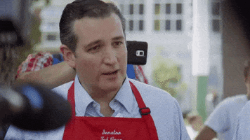 ted cruz GIF by GAYCATION with Ellen Page and Ian Daniel