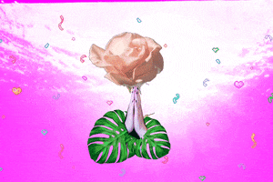 Pink Pray GIF by isabellaauer