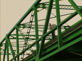 Comedy Bridge GIF by TFO Productions
