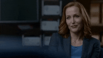 gillian anderson episode 3 GIF by The X-Files