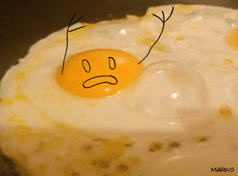 Fried Egg GIFs - Get the best GIF on GIPHY