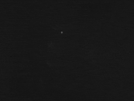 Kisses Sweeter Than Wine ÃYvind Fahlstrã¶M GIF