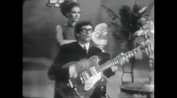 rocking british invasion GIF by The Zombies