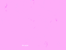 pink fish GIF by eve_agram