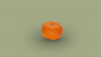 art orange GIF