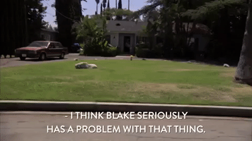 200.gif?cid=fc005b08b0d8375b6eeb3a5c979bae68ff1372c8f3bd1330&rid=200.gif&ct=g