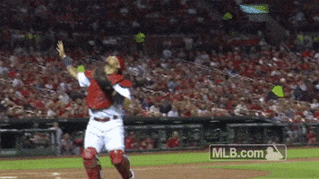 st louis cardinals baseball GIF by MLB