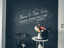 binescris illustration cats lettering chalk GIF