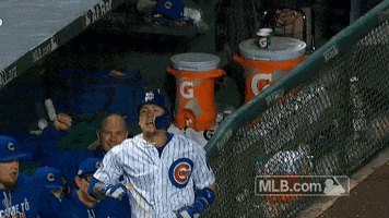 Excited Chicago Cubs GIF by MLB