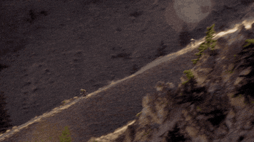 200.gif?cid=fc005b087ae9b3d19a09ad7758a25659f25bae33ea5c460a&rid=200.gif&ct=g
