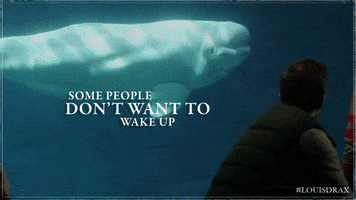 Aaron Paul Quote GIF by The 9th Life of Louis Drax
