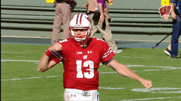 Happy College Football GIF by Wisconsin Badgers