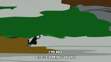 hiding skunk GIF by South Park 