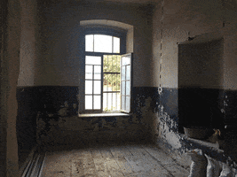 indigocomge indigo library garikula GIF