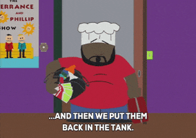 chef mission GIF by South Park 