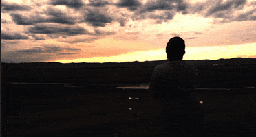 dumbie  GIF