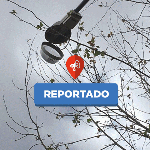 franteijeiro  GIF