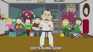 karate fighting GIF by South Park 
