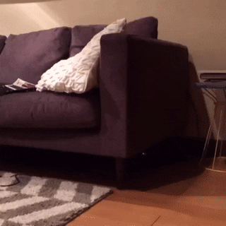thachhtm  GIF