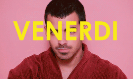 annasarabianconi  GIF