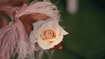 kali uchis flower GIF by Interscope Records