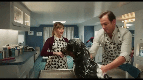 Bathing Will Arnett GIF by Show Dogs Movie - Find & Share on GIPHY