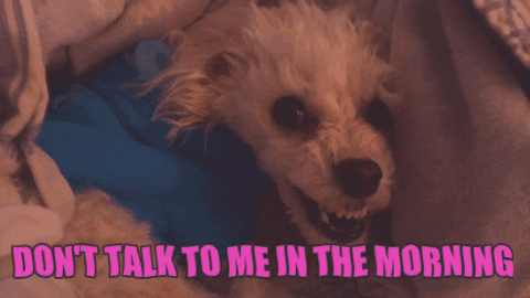 Dont Talk To Me In The Morning Gifs Get The Best Gif On Giphy