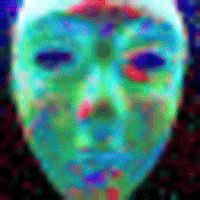 tribal  GIF