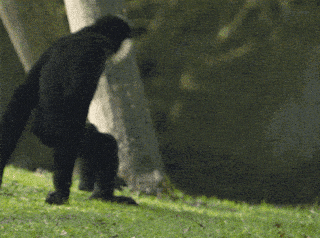 Веришь в любовь