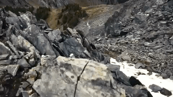 srammtb  GIF