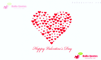 davidwarner321 whatsapp status GIF