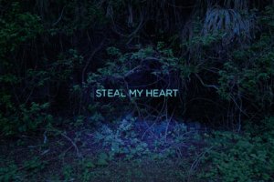 missglittercyannide art heart forest steal GIF