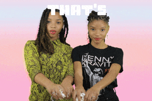 Diversity Approve GIF by Chloe x Halle