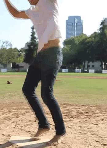 phtsint  GIF