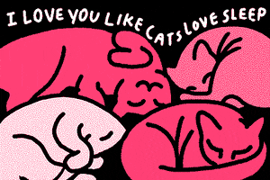 Love Cats GIF by Happy Valentine's Day!
