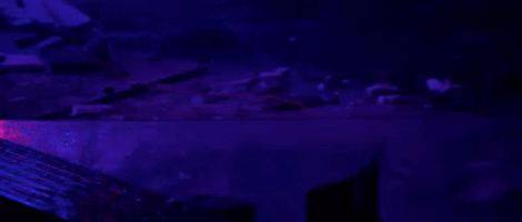 sebastiankgabrielm  GIF