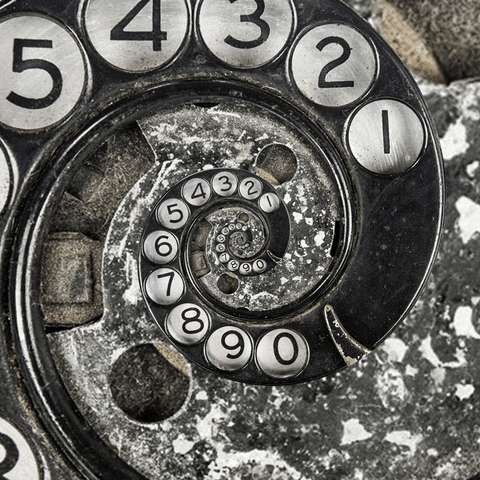 Calling Phone Call GIF by Feliks Tomasz Konczakowski - Find & Share on GIPHY