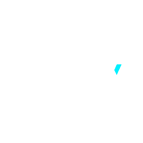 lit'n'fly Sticker