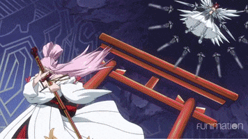 fairy tail samurai GIF by Funimation