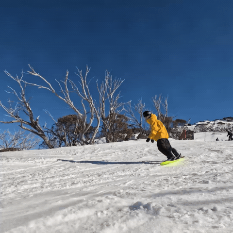 GIF by Thredbo